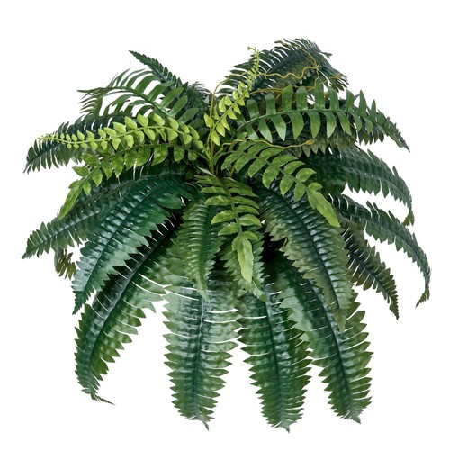 Artificial ferns pcs natural - pcs,
