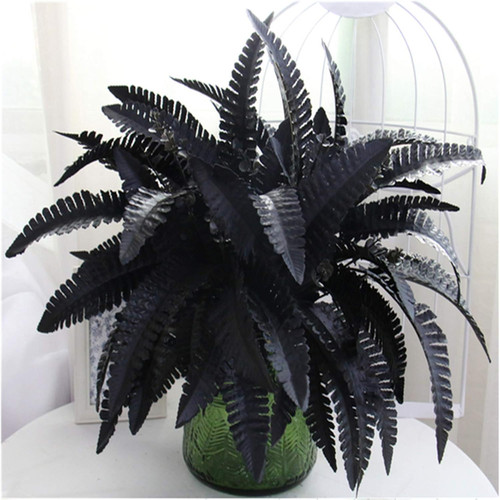 Artificial black persian fern - black,