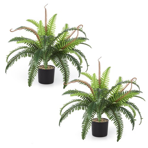 Pack artificial fern plants - 2,