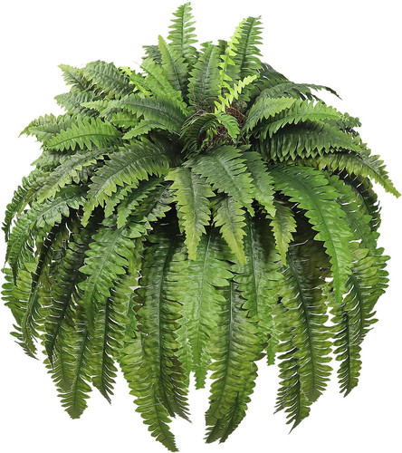 Artificial ferns for outdoors - for,