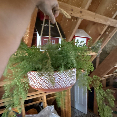 Artificial fern hanging basket - artificial,