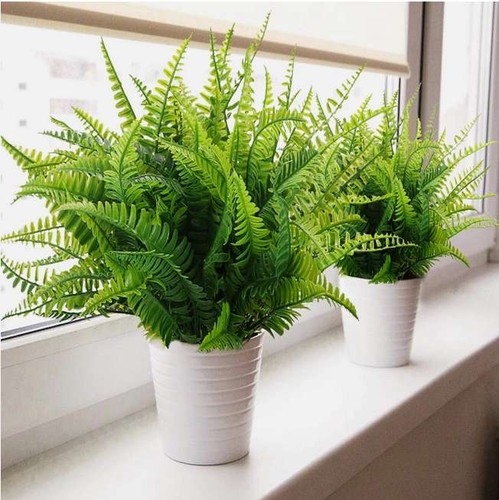 Artificial boston fern plants - artificial,